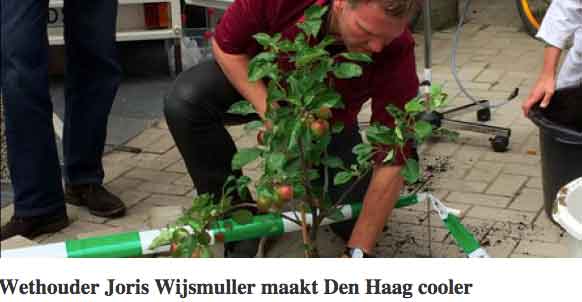 Coole-wethouder-Joris