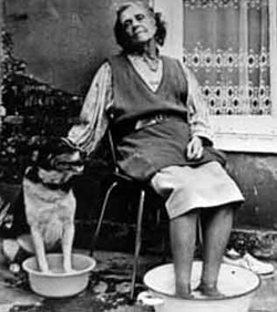 Hitte-eiland-Oma-hond