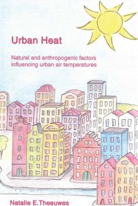 Theeuwes-proefschrift